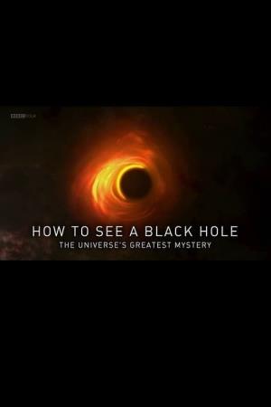 How to See a Black Hole: The... Poster