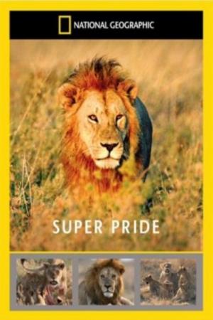 Super Pride Poster