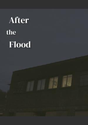 After the Flood Poster