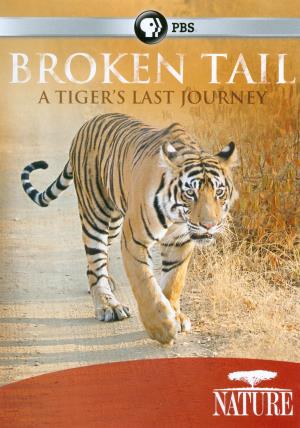A Tiger's Journey Poster