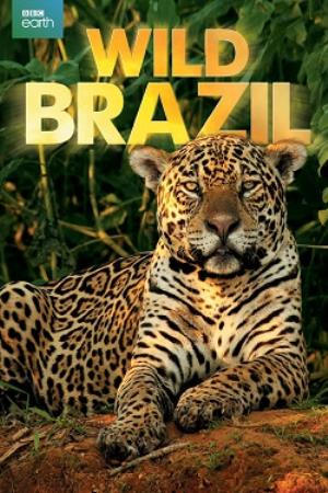 Wild Brazil Poster