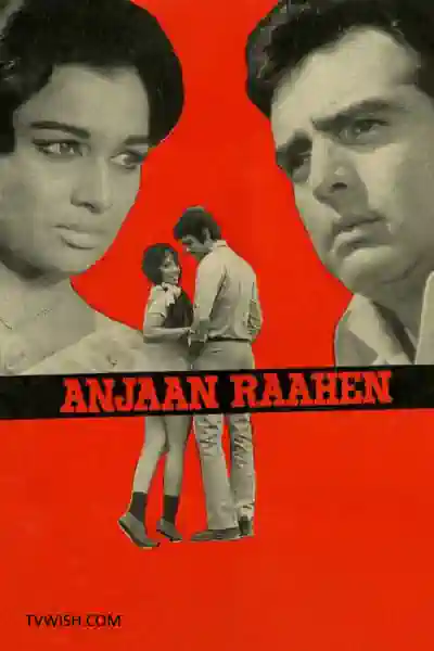 Anjaan Raahen Poster