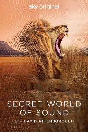 Secret World of Sound with David Attenborough Poster