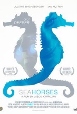 Seahorses Poster