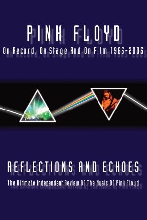 Pink Floyd Reflections Poster