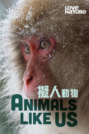 Animals Like Us Poster