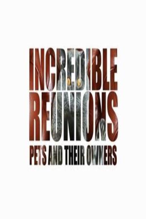 Incredible Reunions: Pets & Their Owners Poster