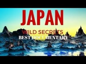 Wild Japan: Snow Monkeys Poster