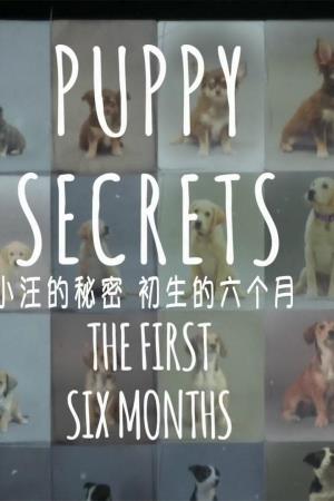 Puppy Secrets - The First Six Months Poster