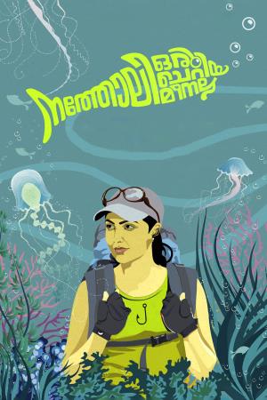 Natholi Oru Cheriya Meenalla Poster