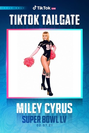 Live: The Super Bowl Poster