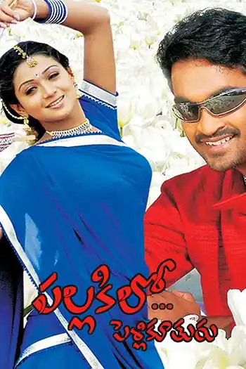 Pallakilo Pellikoothuru Poster