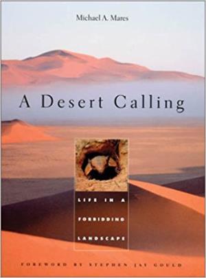 Desert Calling Poster