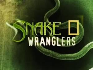 National Geographic: Snake Wranglers Poster